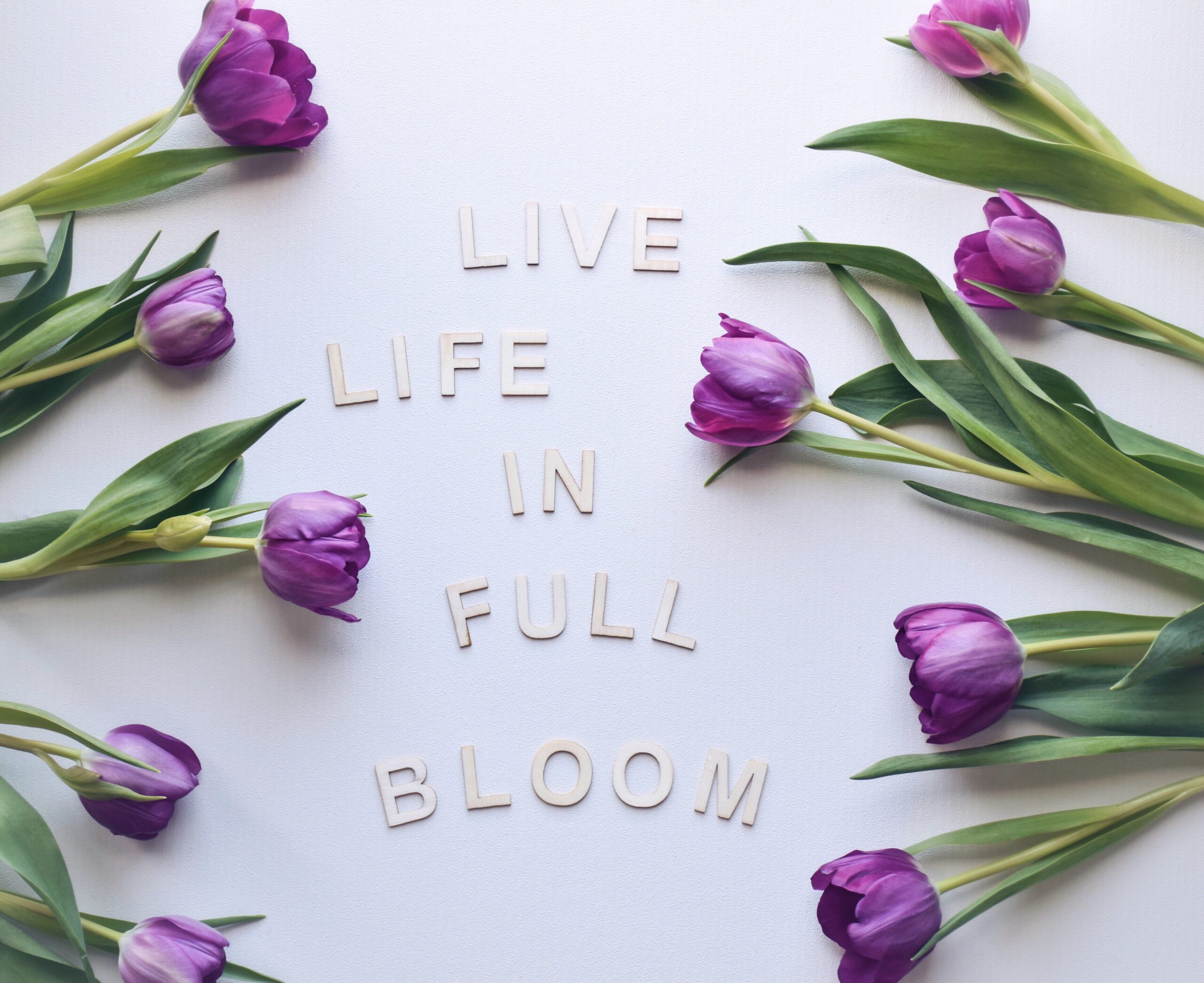 meaningful goal setting